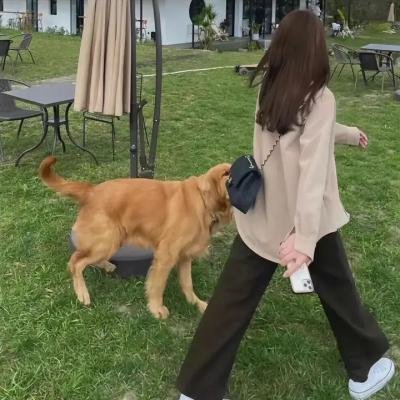 烽火赤焰万里情